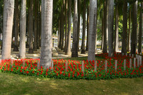 ����԰��԰Ҭ���ֺ�԰�� 