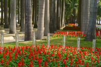 ����԰��԰Ҭ���ֺ�԰�ֻ���