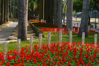 ����԰��԰������ֺ�԰�ֻ��� 