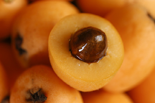 ���ϸ�ԭ������Ƭ