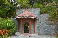 ����԰��԰����԰���ͤ