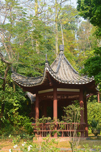 ����԰��԰����԰��ʽͤ�� 