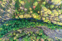 ����СϪ�ﾰ�����ģ�