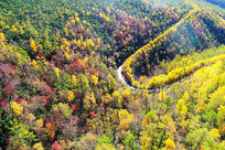 ���˰����＾ɽ·����