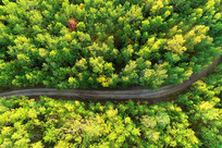 ���Ĵ��˰����ֺ���·