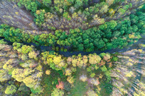 ���Ĵ��˰�������ɽϪ