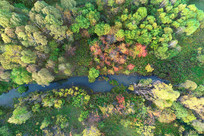 ɭ��ɽϪ��ɫ�����ģ�