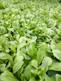 ��������ͷͼƬ