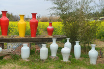 ԰������-��ƿ���Ͳ˻� 