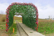 �ɶ�εȻ����-С����ֲ���