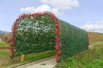 �۹�С����ֲ����