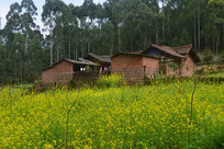 �ɶ���Ȫɽ�Ͳ˻��е�ũ��ͥԺ 