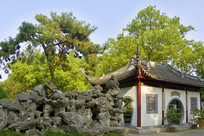 ���԰С�ƶ�������Ծ��