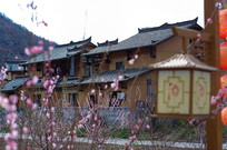 �����µ�����