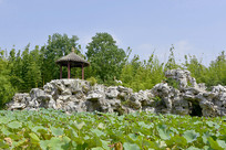 �Ϻ���⢼�ɽ�ϵ���ͤ