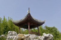 �Ϻ����԰����ͤ