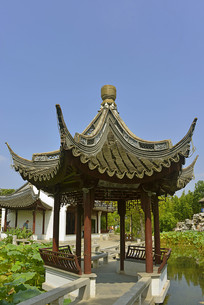 �Ϻ����԰-����ͤ