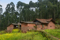 ɽ�����ũ��ͥԺ���Ͳ˻�