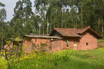 �Ĵ���Ȫɽ�Ͳ˻��е�ũ��ͥԺ 