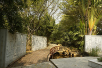 ԰��԰-����������԰