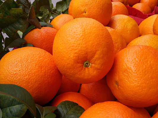 ��԰�����