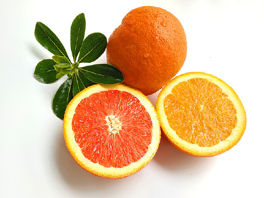 ����׵����