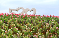 520�������˽�԰��������