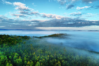 ���˰���ï���ֺ�����