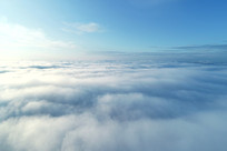 ���˰����ƶ��ƺ�