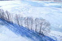 ���ı�������ѩ�� 