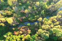 ���Ĵ��˰��������＾ɽϪ