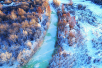 ���Ĵ��˰���ѩ������������