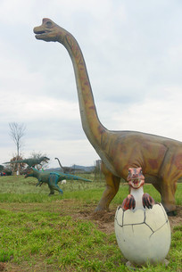 �������׿���