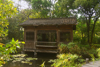 ����԰��԰����԰������Դľ�� 