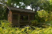 ����԰��԰������Դ�羰