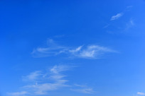 �Ƶ�������������