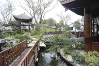 �Ž������������