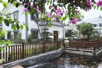 �Ž���ڻ���