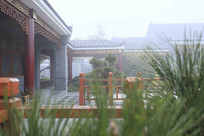 ��ǽ��ڽ���