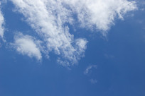 �����ϰ�ɫ���Ʋ�