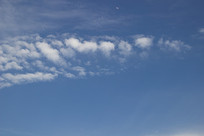 ������Ʈ���İ���