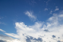 ������Ʈ���İ���