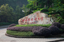 �Ĵ�������ѧУ��