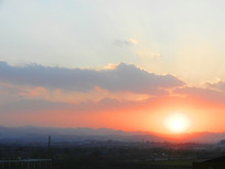 Ϧ������