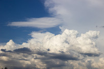 һ���ŵİ���