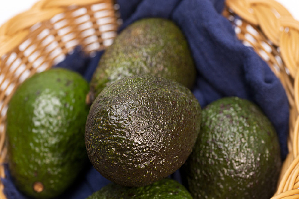 ���ĵ�ţ�͹�