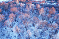 ���˰���ѩԭ���ֺ����� 