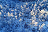 ����ѩ��������ڡ