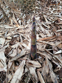 ð��������