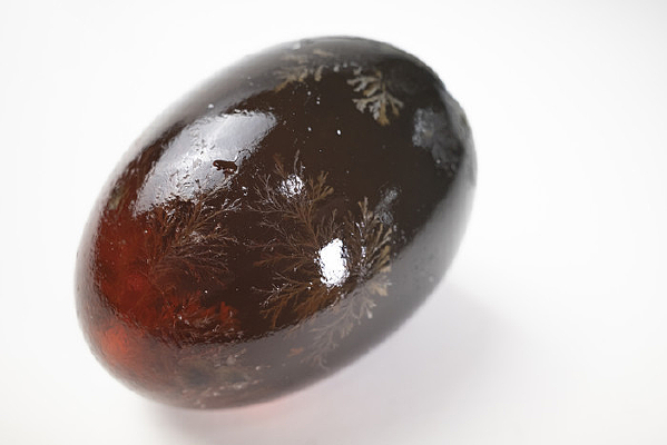 û�п��ӵ�Ƥ��